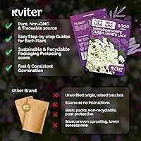 Vista 5 de KVITER 1000 semillas de encaje de la reina Ana blanco (Ammi Majus) – Flor del obispo, reliquia, flor silvestre orgánica y sin OMG, falso encaje