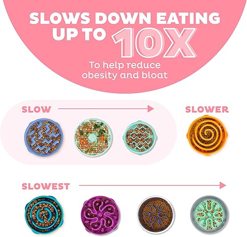 Miniatura 4 de Outward Hound Fun Feeder Slo Bowl Comedero para perros de alimentación lenta, pequeño, color rosa