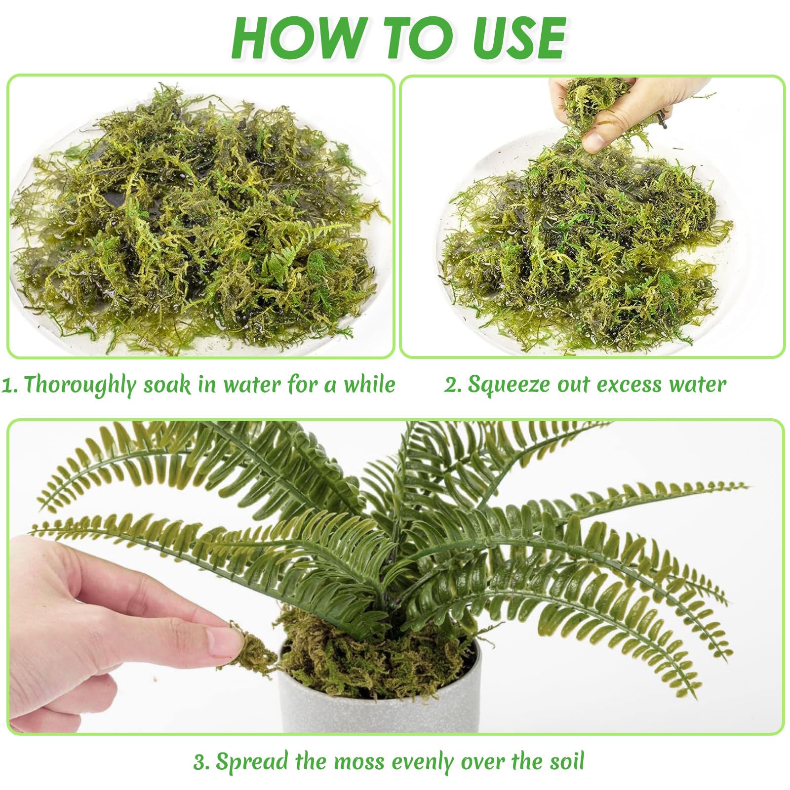 Muschio di Sfagno per Orchidea Phalaenopsis Decorazioni Terrario per Rettili, 150g Naturale Verde Sfagno Secco Giardino Idratante Nutrizione Fertilizzante Organico Dried Forest Moss Sphagnum Moss (1)