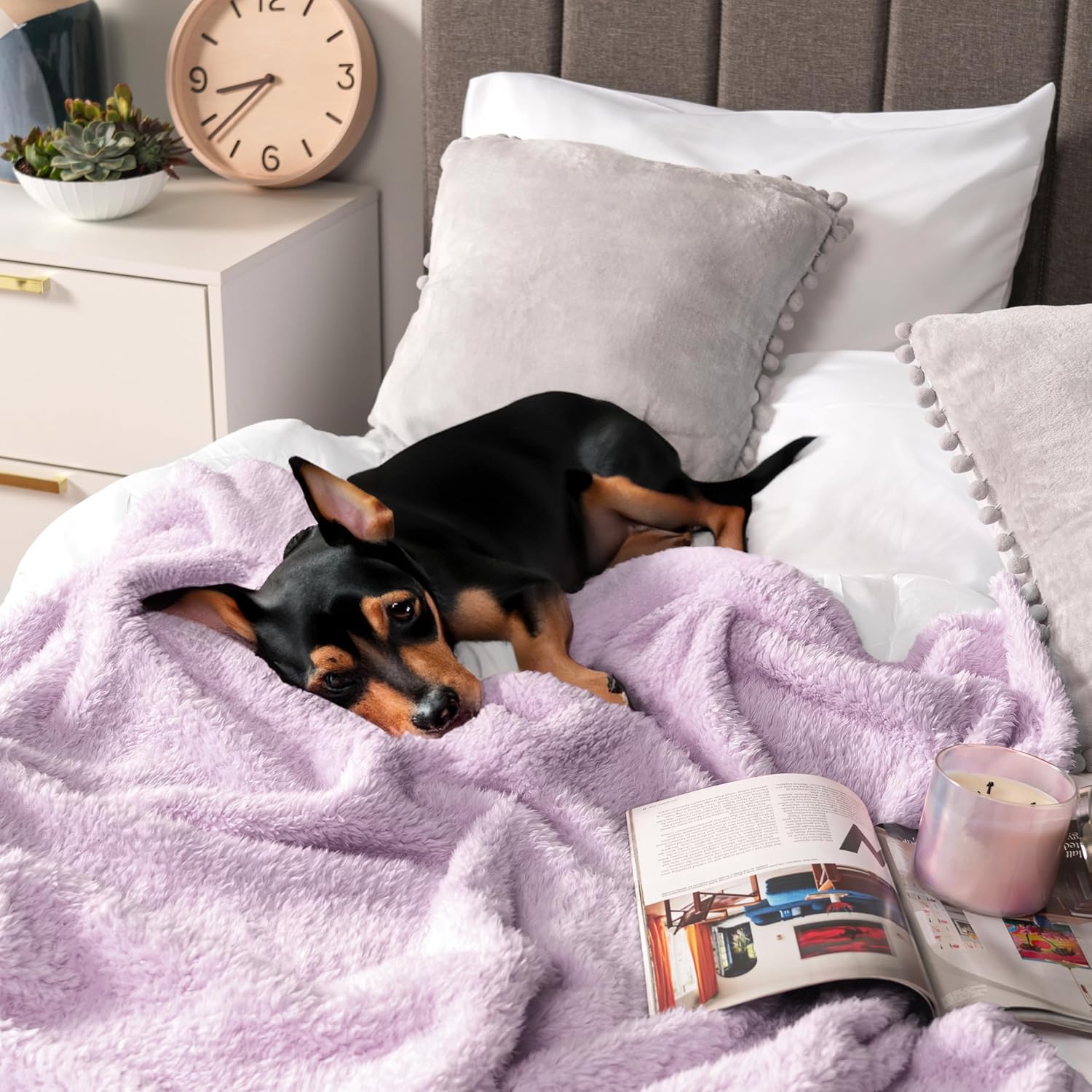 PAVILIA Sherpa Throw Blanket for Couch Sofa, Light Purple Lavender Fluffy Warm Plush Blanket for Bed, Cozy Super Soft Lightweight Throw, Fuzzy Decorative Blanket, All Season Home, 50x60 - Image 7