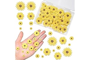 HADDIY 50 Pieces Sunflower Glitter for DIY Decoration