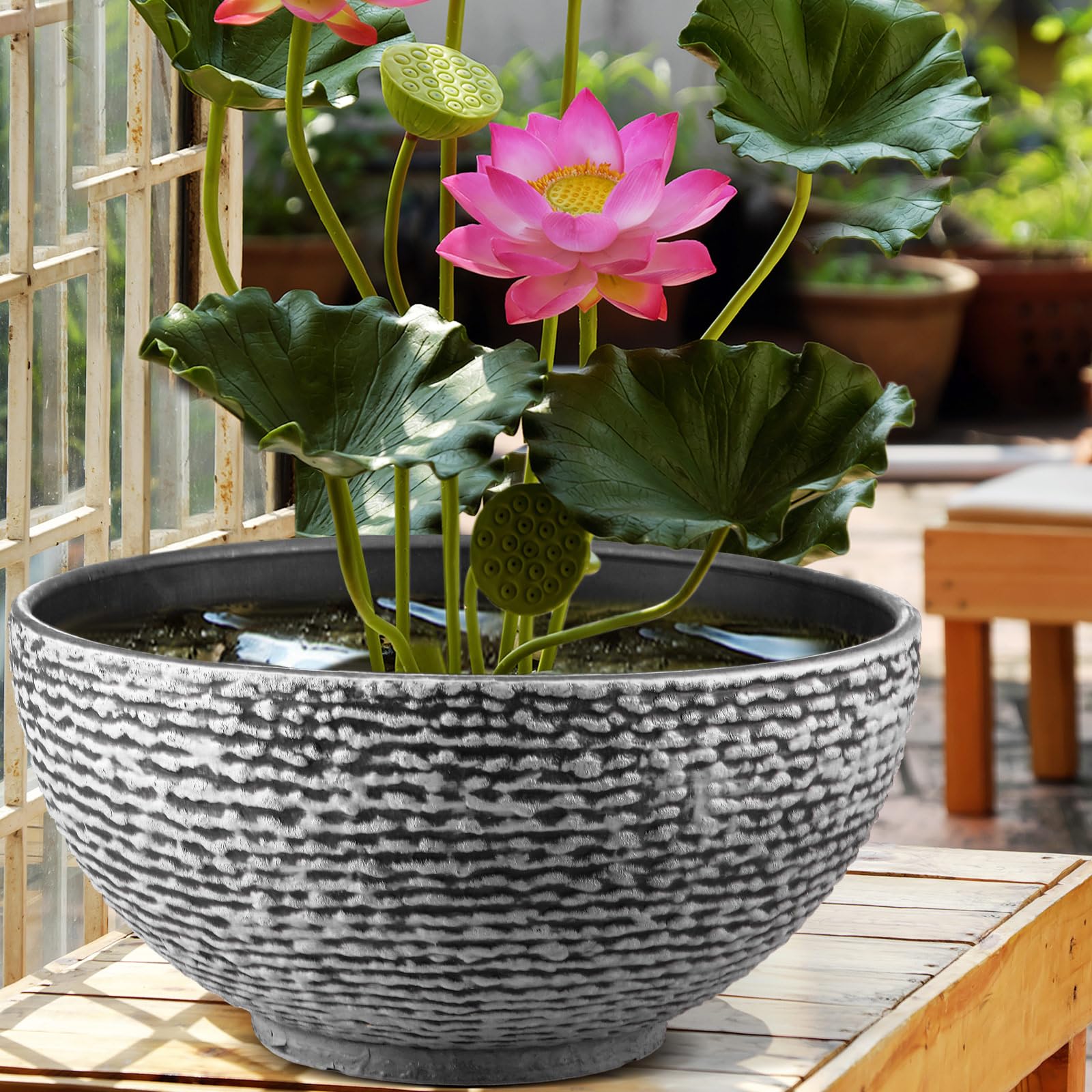 Amazon.com : RimCereal 1 Pack Large Water Lily Planter Bowl, 16 Inch Lotus  Flower Bowl Fit Hydroponic Succulent Planter Water Plant Container for  Indoor Outdoor Garden Balcony Patio Fish Pond Bird Bath (