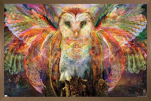 Trends International Jumbie - Owl Wall Poster, 22.37" x 34.00", Bronze Framed Version
