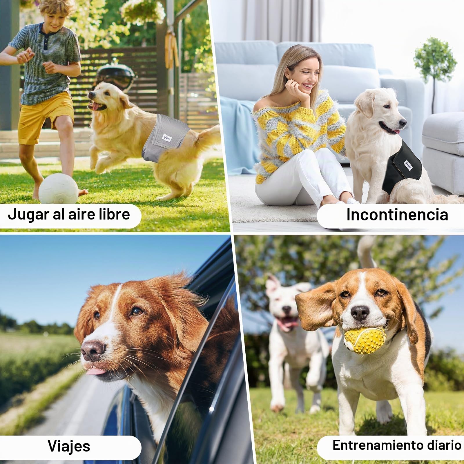 Pañales para perros machos, reutilizables y lavables. Bandas abdominales premium, pack de 3. Vallas absorbentes para perros XL, para incontinencia, micción excitada o entrenamiento. Tamaño XL.