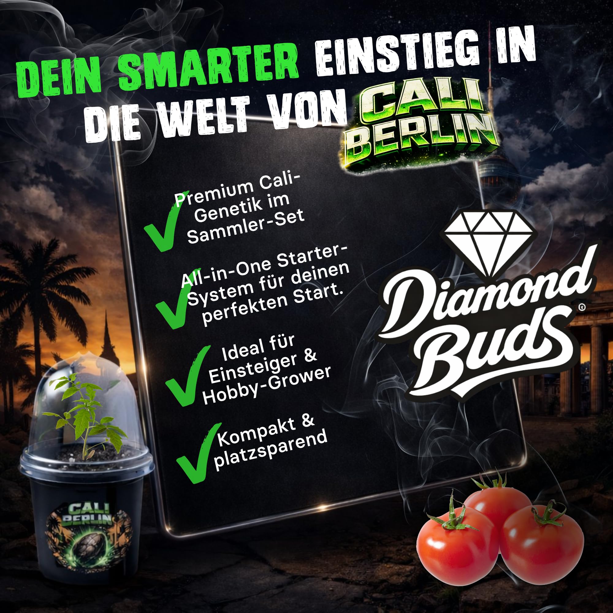 Diamond Buds® Cali Berlin Genetik 3er Set – Exklusiver Anzucht-Starter mit feminisierter Genetik, Quelltöpfen, Pflanzenschalen & Nährstofflösung