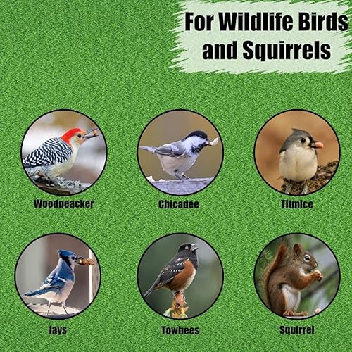 Miniatura 2 de Old Potters Cacahuetes sin cáscara de vida silvestre, 5 libras para pájaros, ardillas y vida silvestre. Cacahuetes crudos sin OMG cultivados en EE.