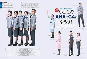 ANA(全日本空輸) - エアステージ　まとめ売り ANA(全日本空輸) - エアステージ ANAの通販 by T.A