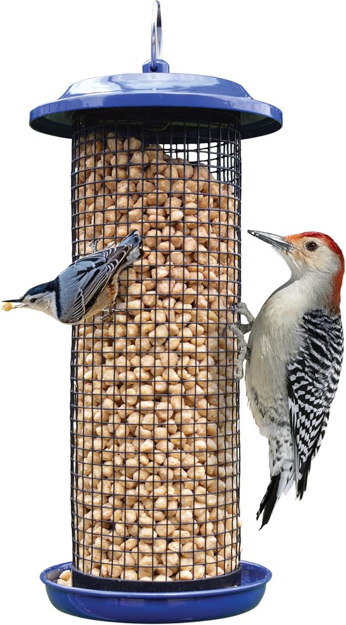 Metal mesh bird feeder with large openings