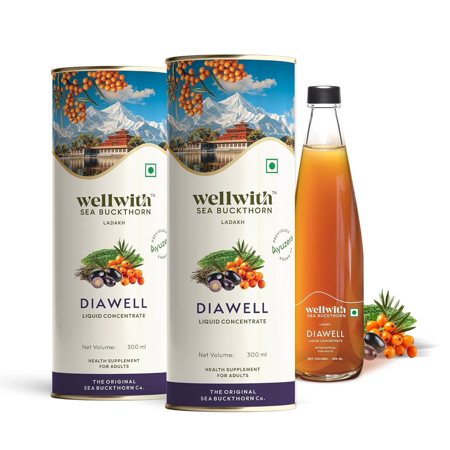 Wellwith (Ayuzera) Diawell (Diabowin) Karela & Jamun Diabetic Care Juice with Sea Buckthorn Berry 300ml | Chirata and Punarnava | Ayurvedic | Control Blood Sugar | Upto 50 Glass Juice (Pack of 2)