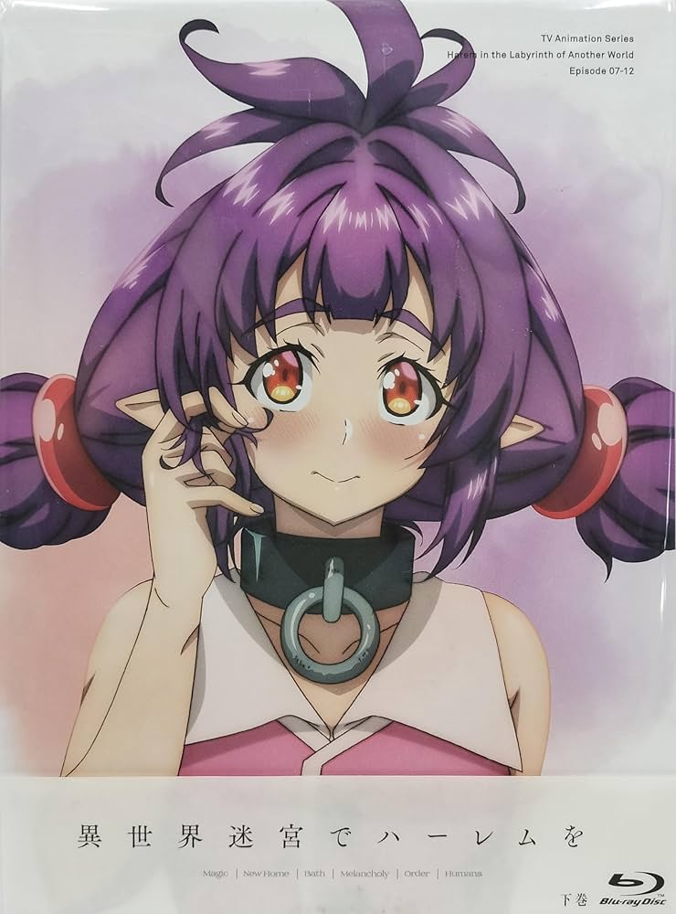 Amazon.co.jp: 異世界迷宮でハーレムを Blu-ray BOX 上巻＆下巻セット