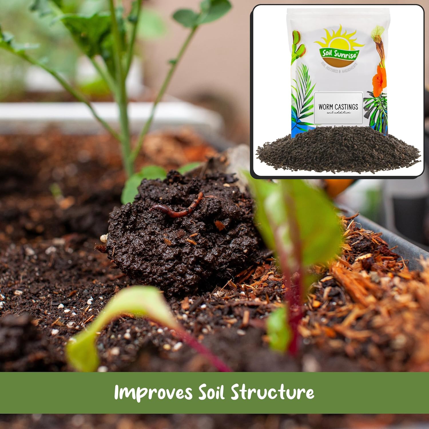 Soil Sunrise Premium Organic Worm Castings (8 Pounds) 8QT All Natural Soil Additive, Soil Builder, and Fertilizer