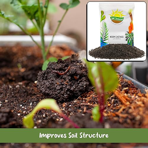 Miniatura 4 de Fundición de gusano orgánico prémium (8 libras) aditivo de suelo natural de 8 cuartos de galón, constructor de suelo y fertilizante