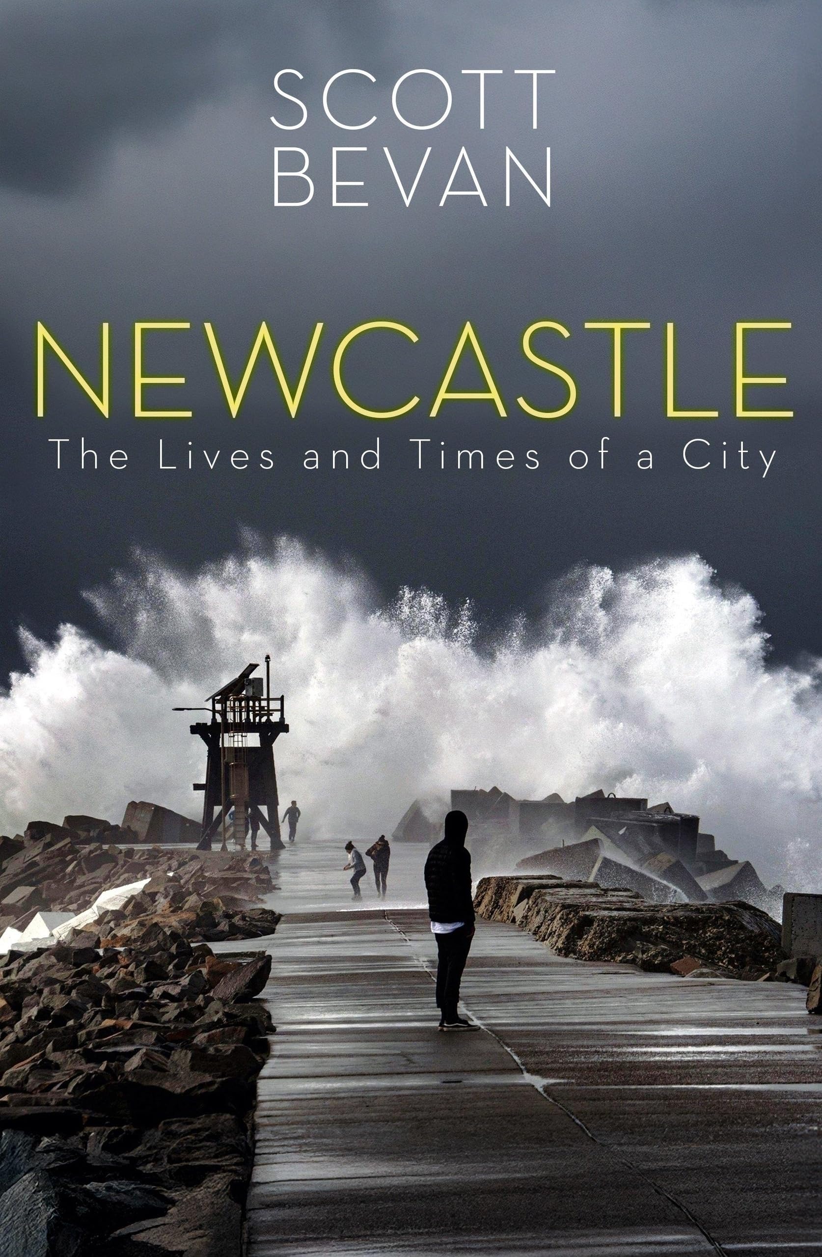 Newcastle: The Lives and Times of a City