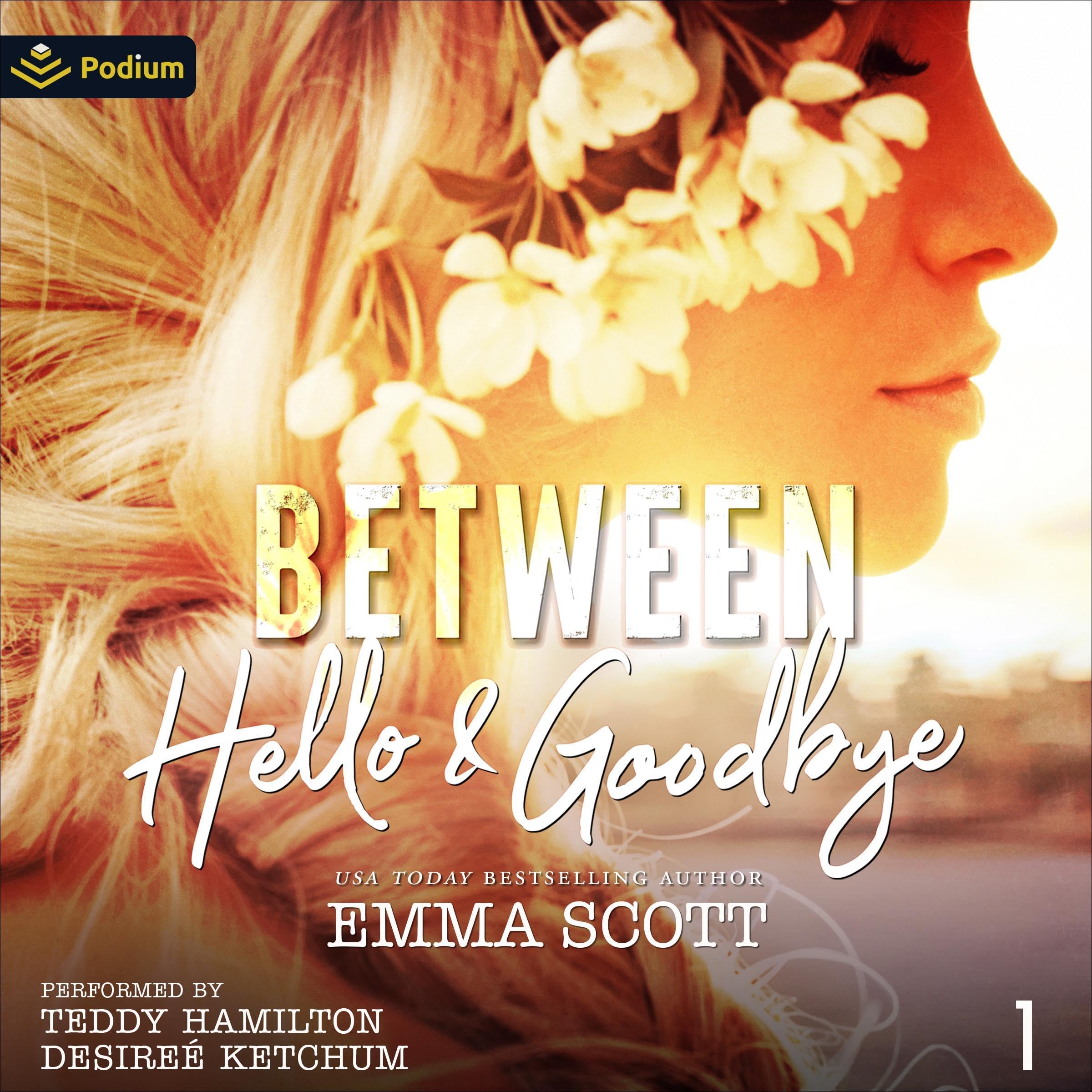 Cover art for Between Hello and Goodbye