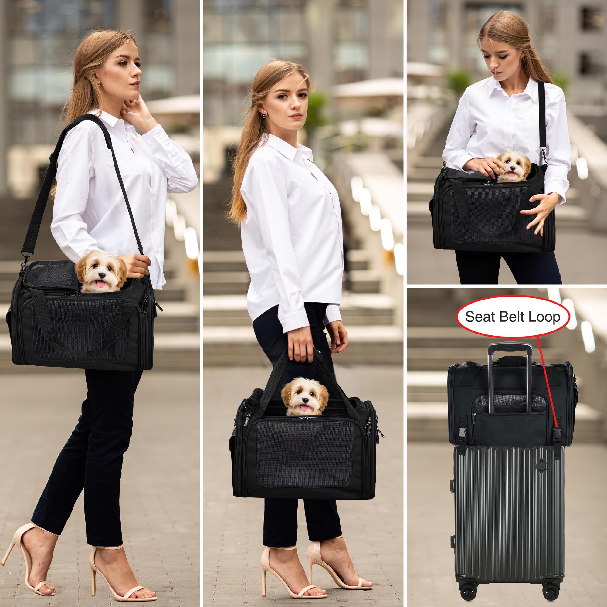 EliteField Deluxe Soft-Sided Pet Carrier (3 Year Warranty, Airline Approved), Travel Bag for Dogs, Cats & Small Pets, with Expandable Mat - image 3