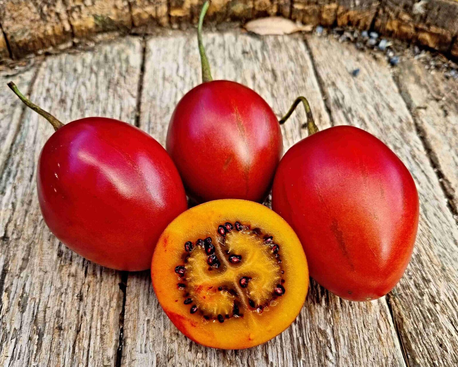 Tamarillo Samen, Baumtomate, Solanum betaceum, Tomatenbaum (500 Samen)