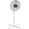 Amazon Basics 3-Speed Oscillating Pedestal Floor Fan with Tiltable Head, 40 Watts, Black With White
