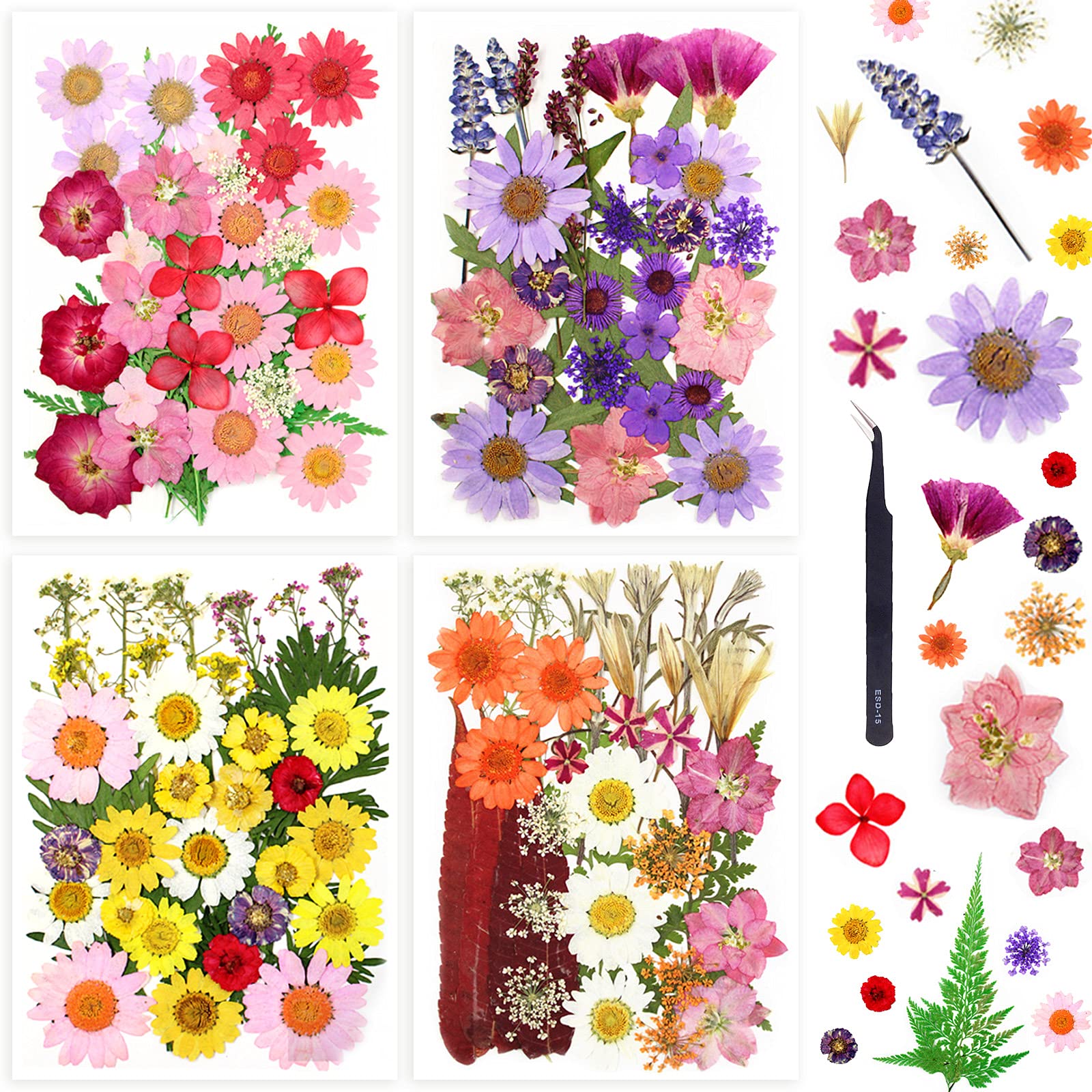 124 Pcs Real Dried Pressed Flowers for Resin, ALIGADO Natural Dried Flowers for Nail Arts, Resin Jewelry Crafts and DIY Handmade Projects, with Bright Colors