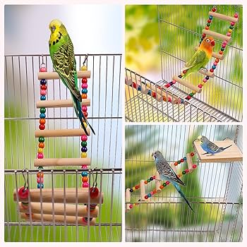 木製鳥用多層スタンド 楽天市場】インコ スタンドの通販