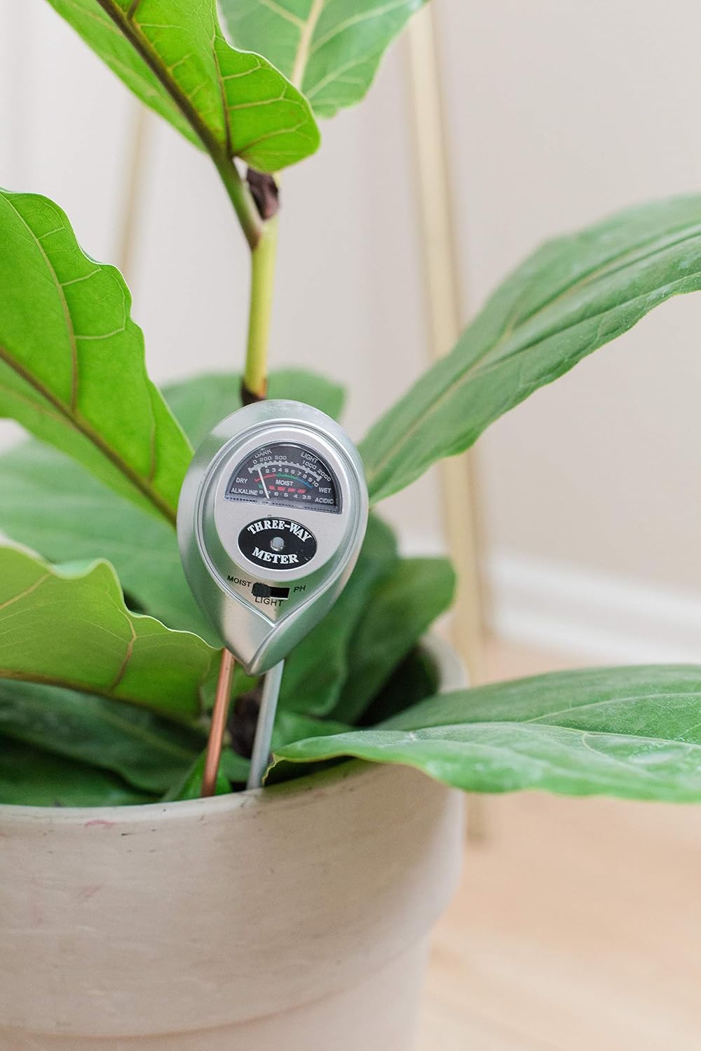 Fiddle Leaf Fig Plant Food Soil Meter for Fiddle Leaf Figs – 3 in 1 pH/Moisture/Light Meter Promotes Robust Plant Growth and Health Through Proper Watering, Sunlight and Nutrition