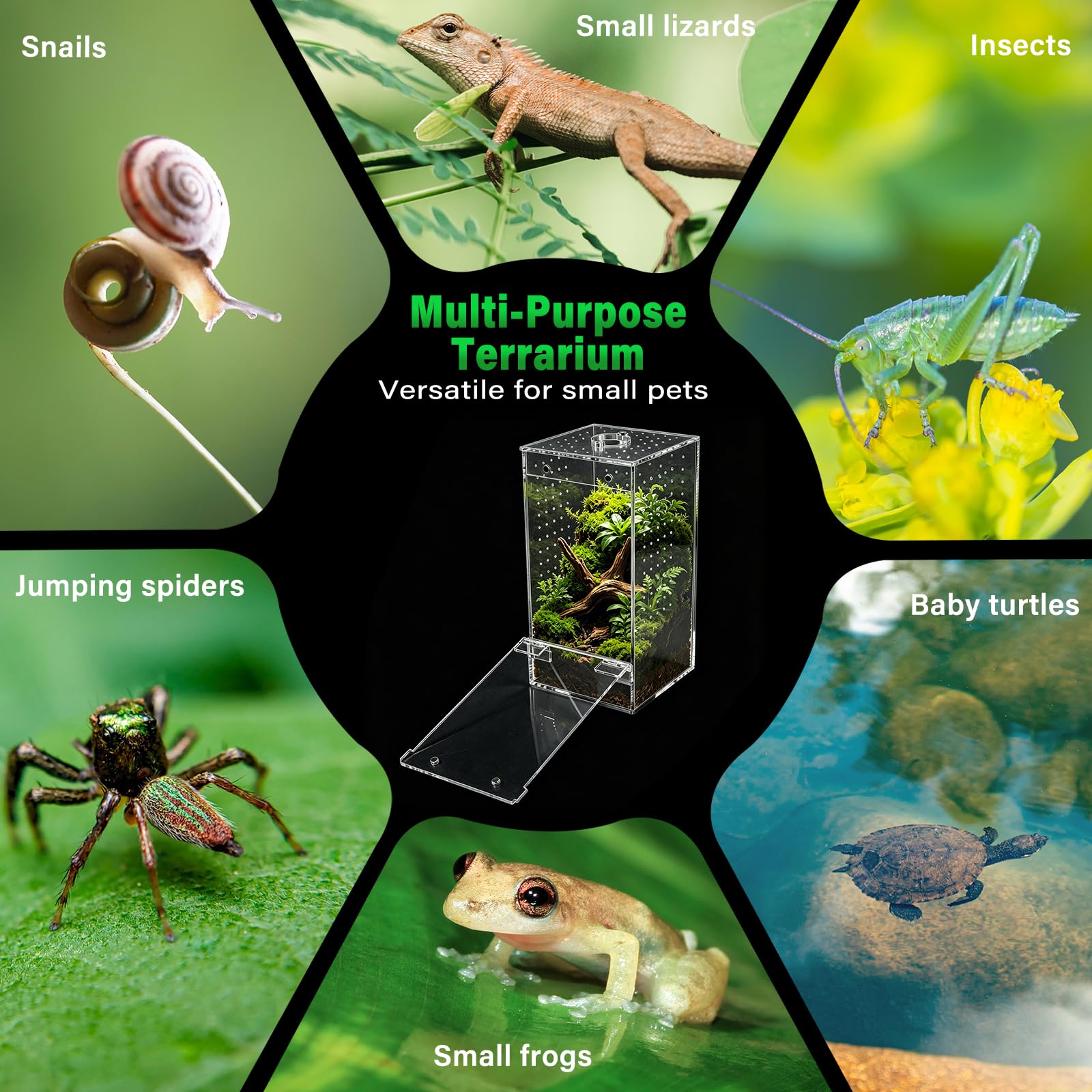 Homtone Akrylowe terrarium, terrarium owadów, terrarium ślimakowe z drzwiami magnetycznymi i otworem na karmę, odpowiednie dla pająków, ślimaków i owadów (10 x 10 x 20 cm)