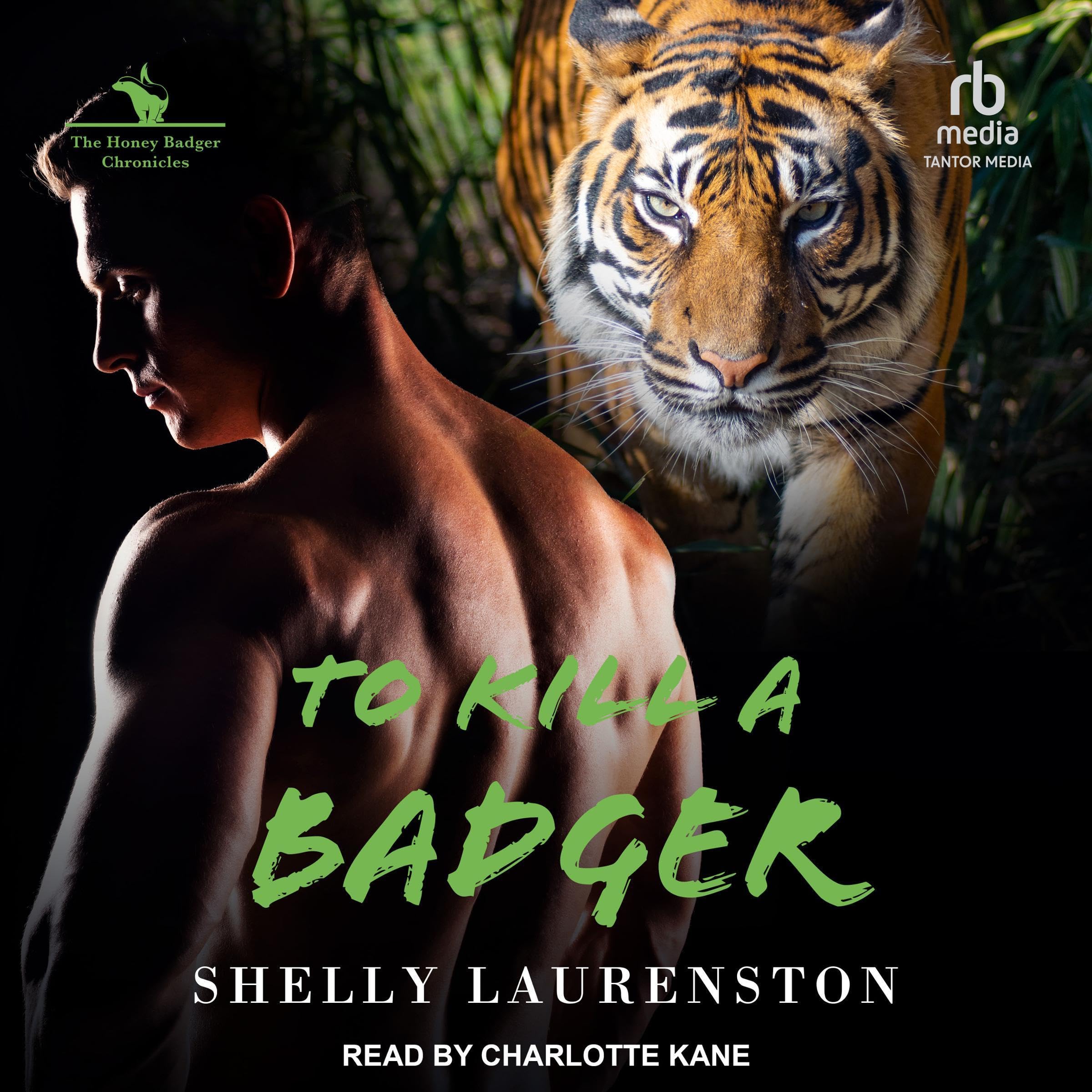 Cover art for To Kill a Badger