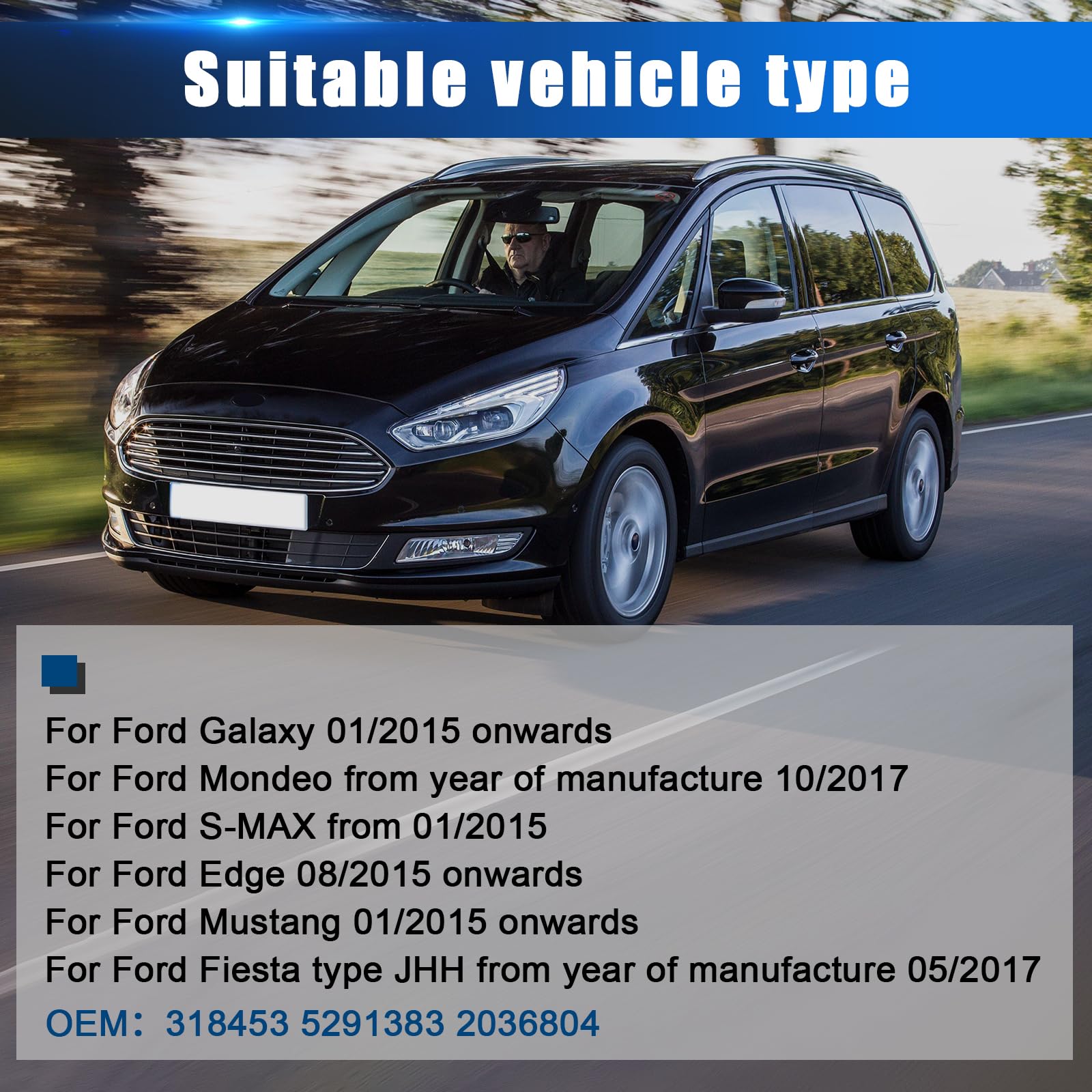 Reifendrucksensor Kompatibel mit Ford Galaxy S-Max Edge Fiesta Mondeo Mustang, TPM Sensor RDKS TPMS Reifendruckkontrolle Sensor 2318453 5291383 2036804-4 Stück