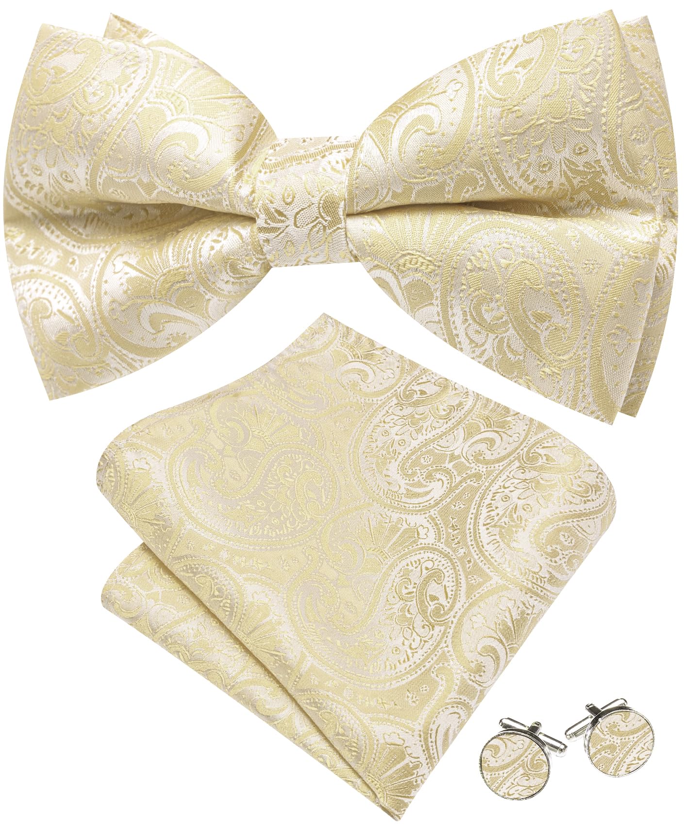 Barry.Wang Paisley Striped Bow Tie for Men Silk Pre-Tied Bowtie Set