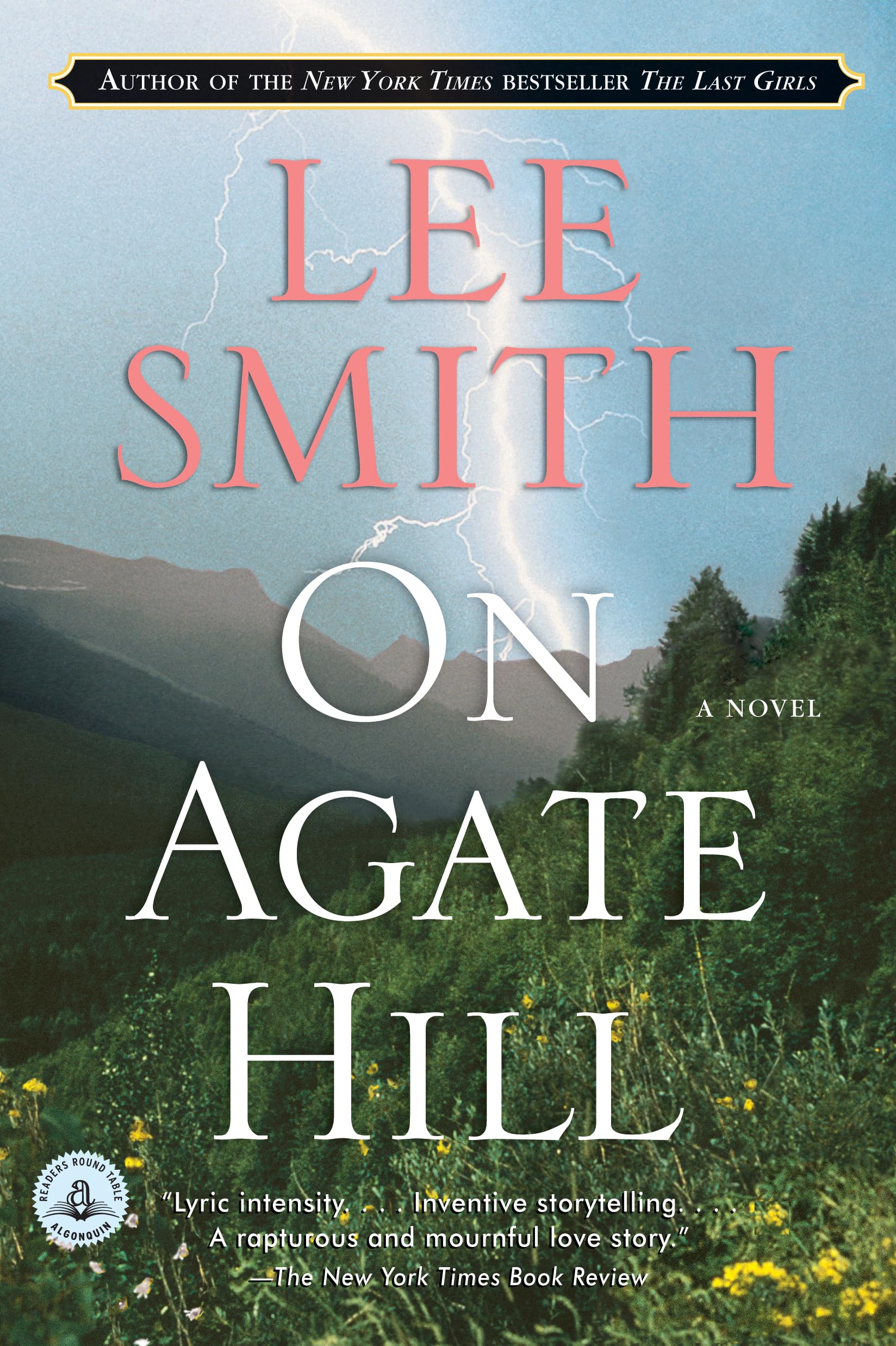 Buy On Agate Hill: A Novel — BookShops.in