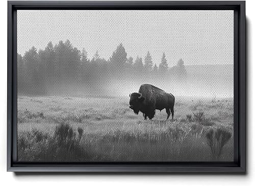 Fine Art American Bison Buffalo Print, Captivating Black and White Landscape of Nature's Majestic Wildlife, Framed Fine Art Photography for Home