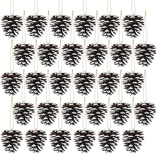 Winlyn 30 Pcs Frosted Pine Cone Ornaments White Natural Pinecone Hanging...