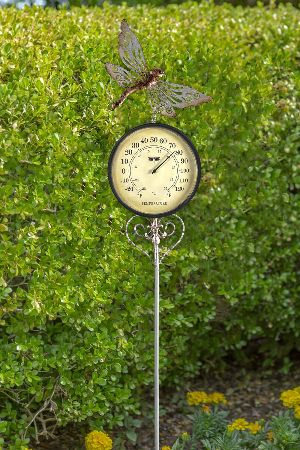 Poolmaster 54583 Termometro da esterno da giardino, libellula, multicolore