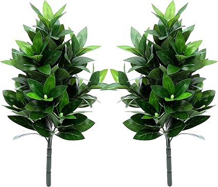 Amazon Co Jp みずみずしいツヤ感 しきみ 樒 しきび 造花 約40cm 2本 1対 創価学会 会館仕様 光触媒 抗菌 消臭 型崩れ防止専用箱入り ホーム キッチン