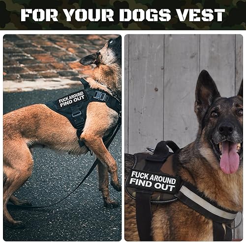 Miniatura 6 de 3 parches divertidos para follar y descubrir, protegidos por F Around y descubre parches tácticos de moral con gancho y bucle para mochilas,