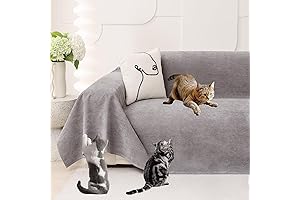 Loiion Anti-Scratch Couch Cover: Protect Your Furniture from Curious Pets!