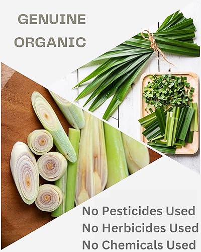 Miniatura 5 de Lemongrass Pandan Leaf - Bolsas de té  Té orgánico gourmet de hierbas tailandesas relajante  Sin cafeína  40 bolsas de té