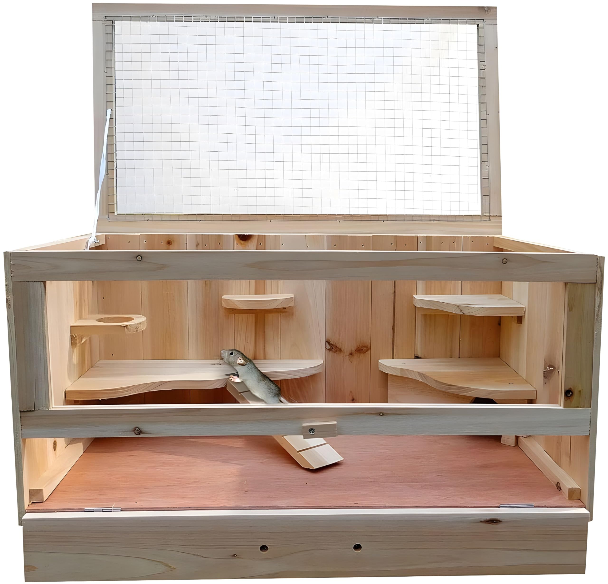 Melko® Cage pour petits animaux avec couvercle rabattable 60 x 35 x 30 cm Pour petits rongeurs souris hamsters