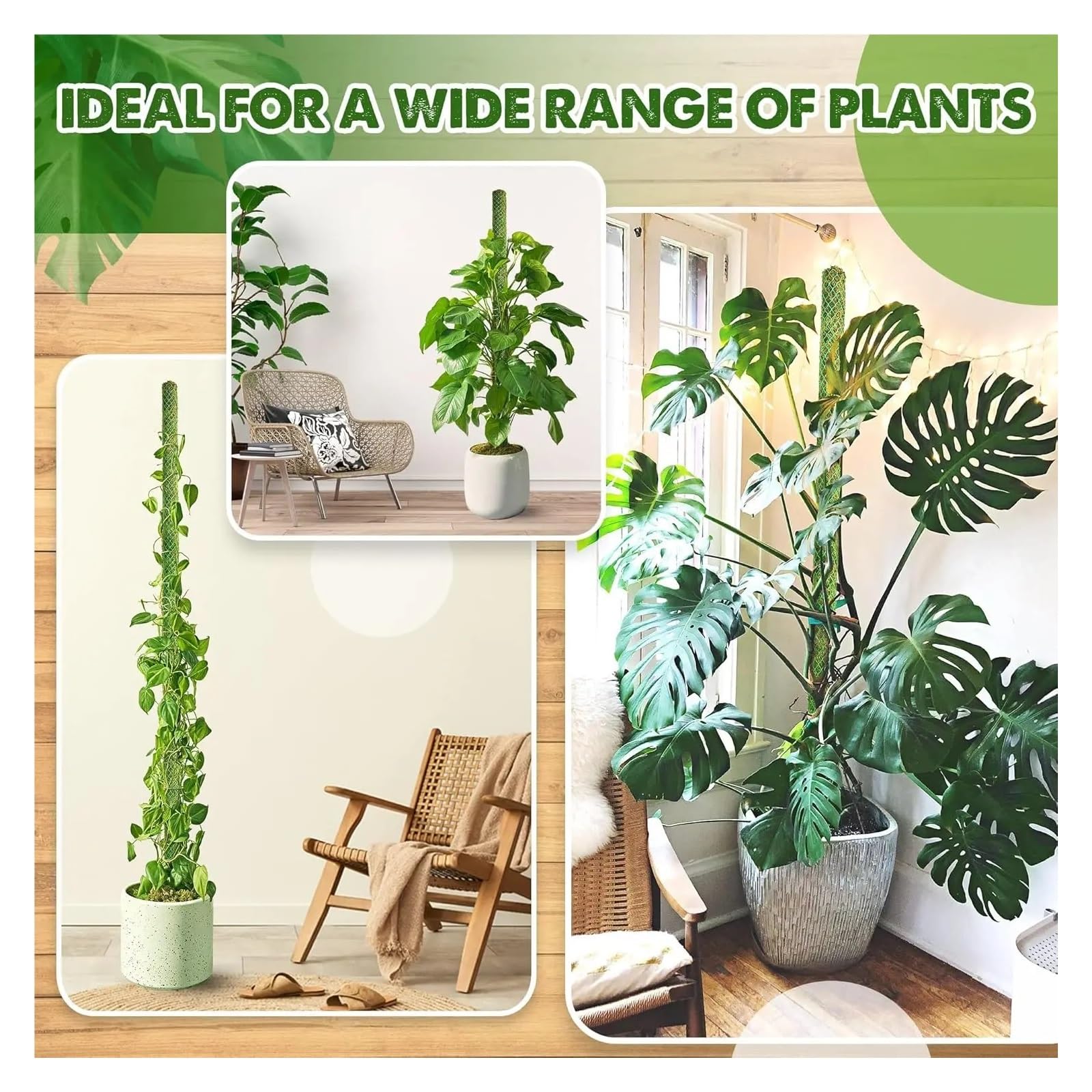 Tuteur Plante Poteau de Mousse empilable Vert 10 pièces for Plantes grimpantes, piquets de Support Extensibles for Plantes d'intérieur