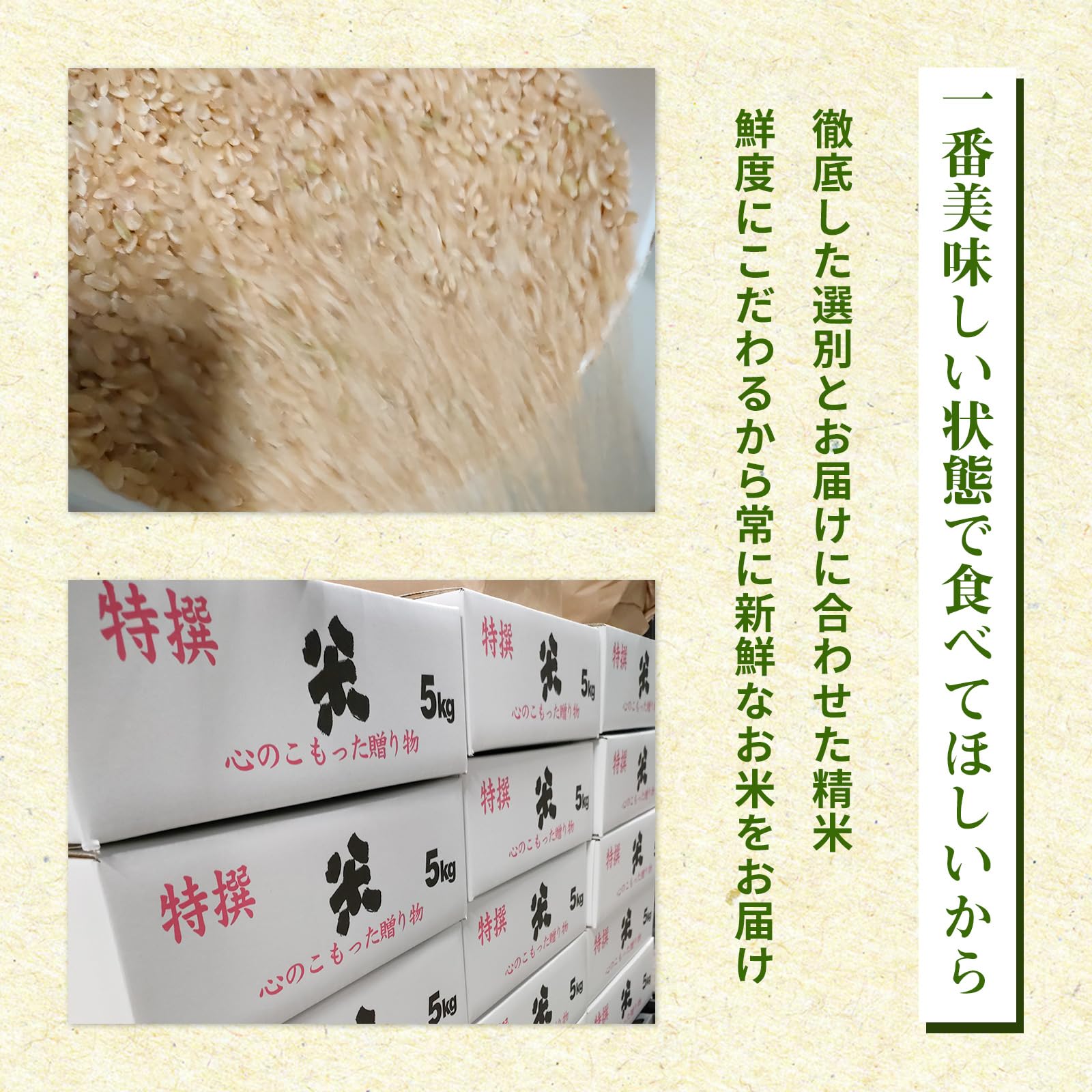 Amazon.co.jp: 無農薬 玄米 コシヒカリ 熊本県産 新米 令和7年産 無 