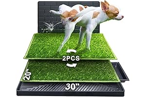 Hompet: Indoor/Outdoor Dog Potty: The Green Alternative to Puppy Pads