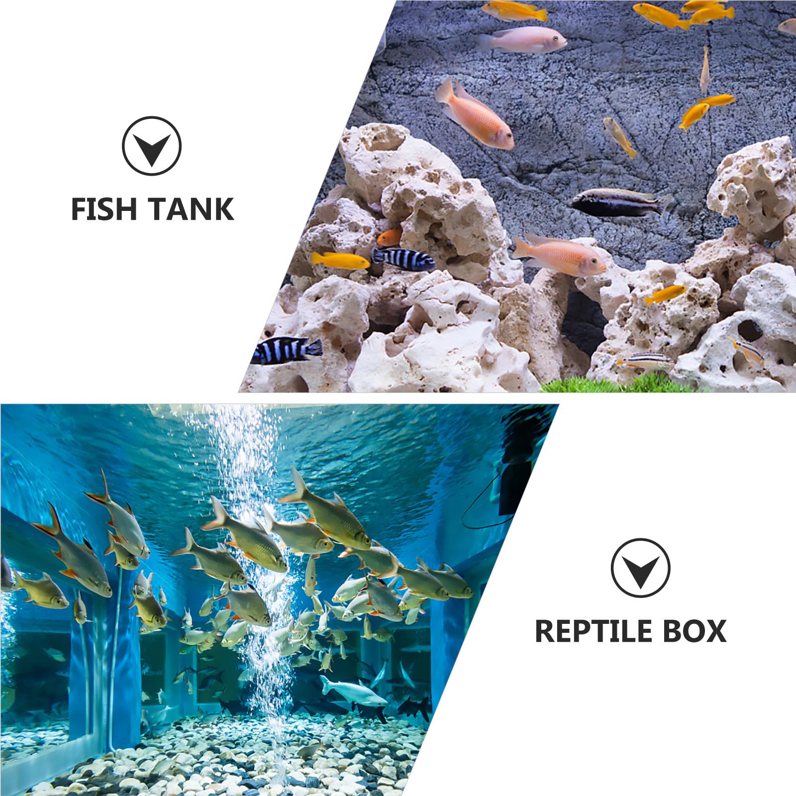 Nettoyée et Réutilisable en Sable et Gravier pour Aquarium Noir Pierre à pour Aquarium Augmente L' Couleur Aléatoire et Poisson