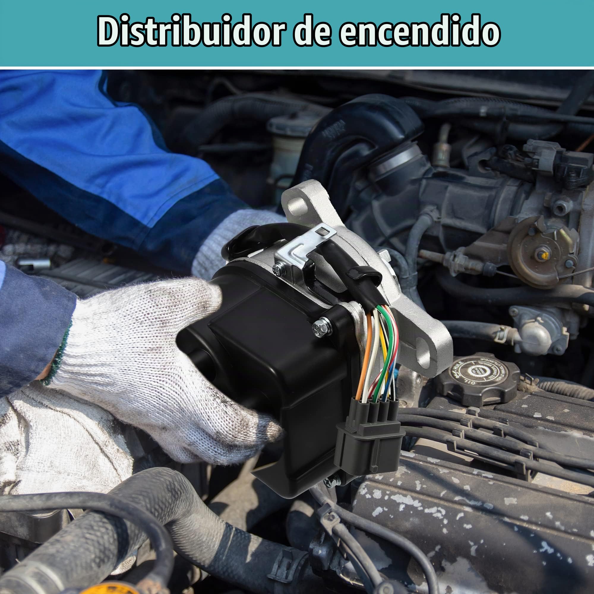 QUARKZMAN Distribuidor Encendido Para Honda Cr-V 2.0L Dohc 99-01 1Pc | Material: Metal, Plastico, Color: Negro, Plateado, Oe: 30100-P6T-T01, 6082903, Tc08A, Td74U, Tamaño: 14X12X16 Cm, 8 Pines
