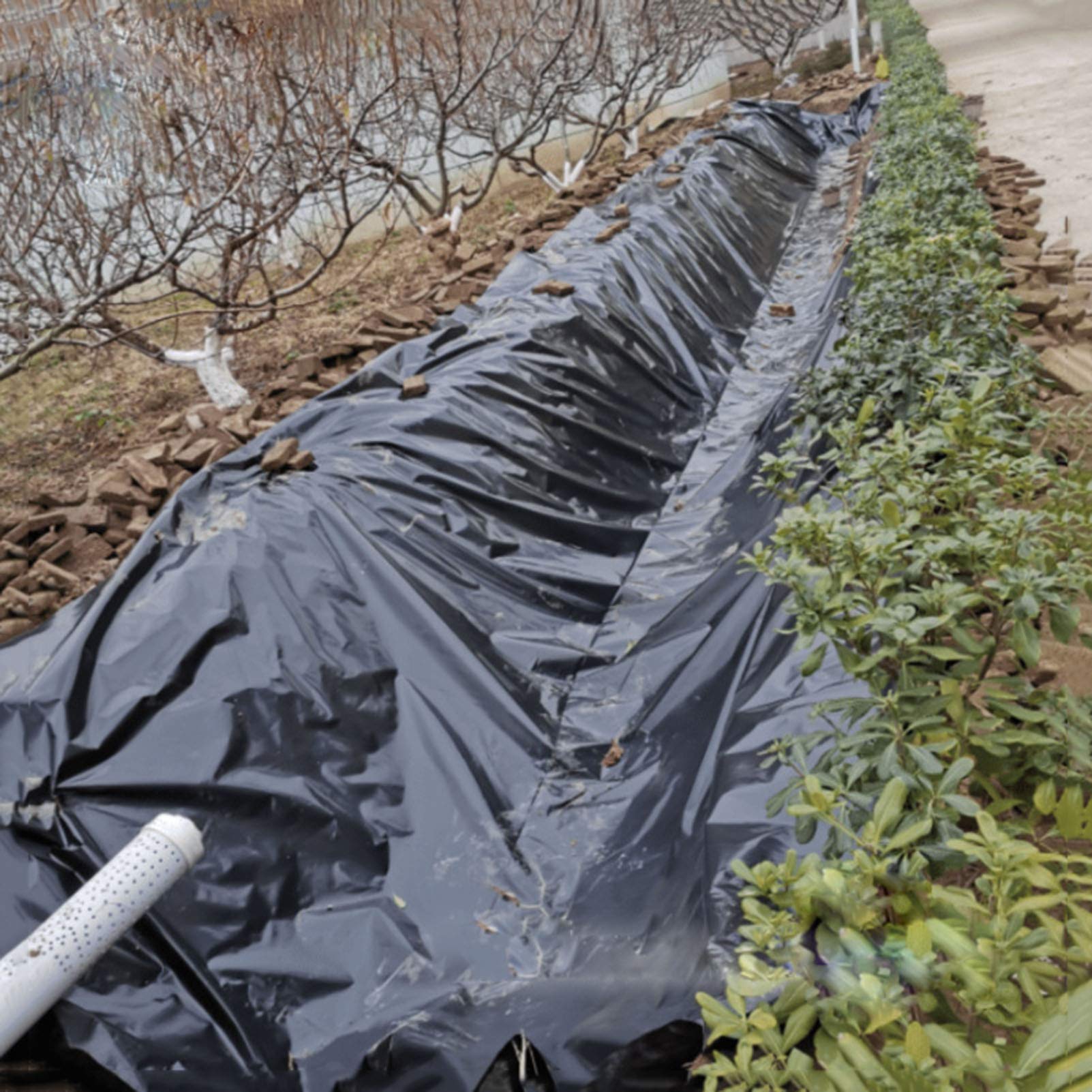 10 Migliori fodera per laghetto ldpe In Italia