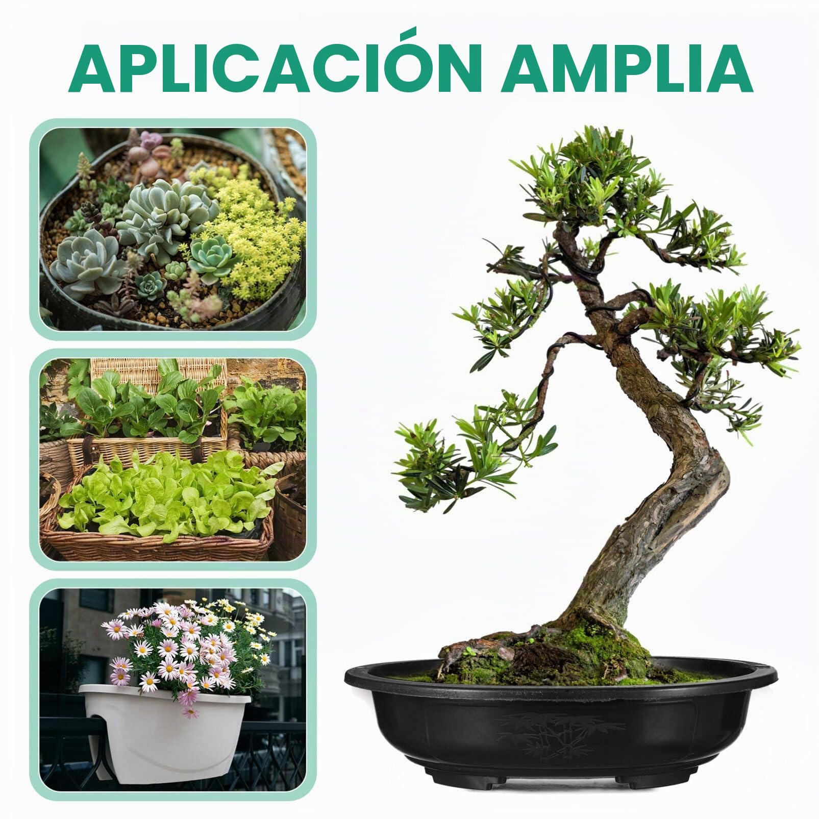Kisangel Macetas Grandes De Plástico para Entrenamiento De Bonsái 6 Uds. Maceta para Cultivo De Plantas Bonsái Maceta Ovalada para Vivero con Agujeros De Drenaje Maceta Ovalada De Plástico
