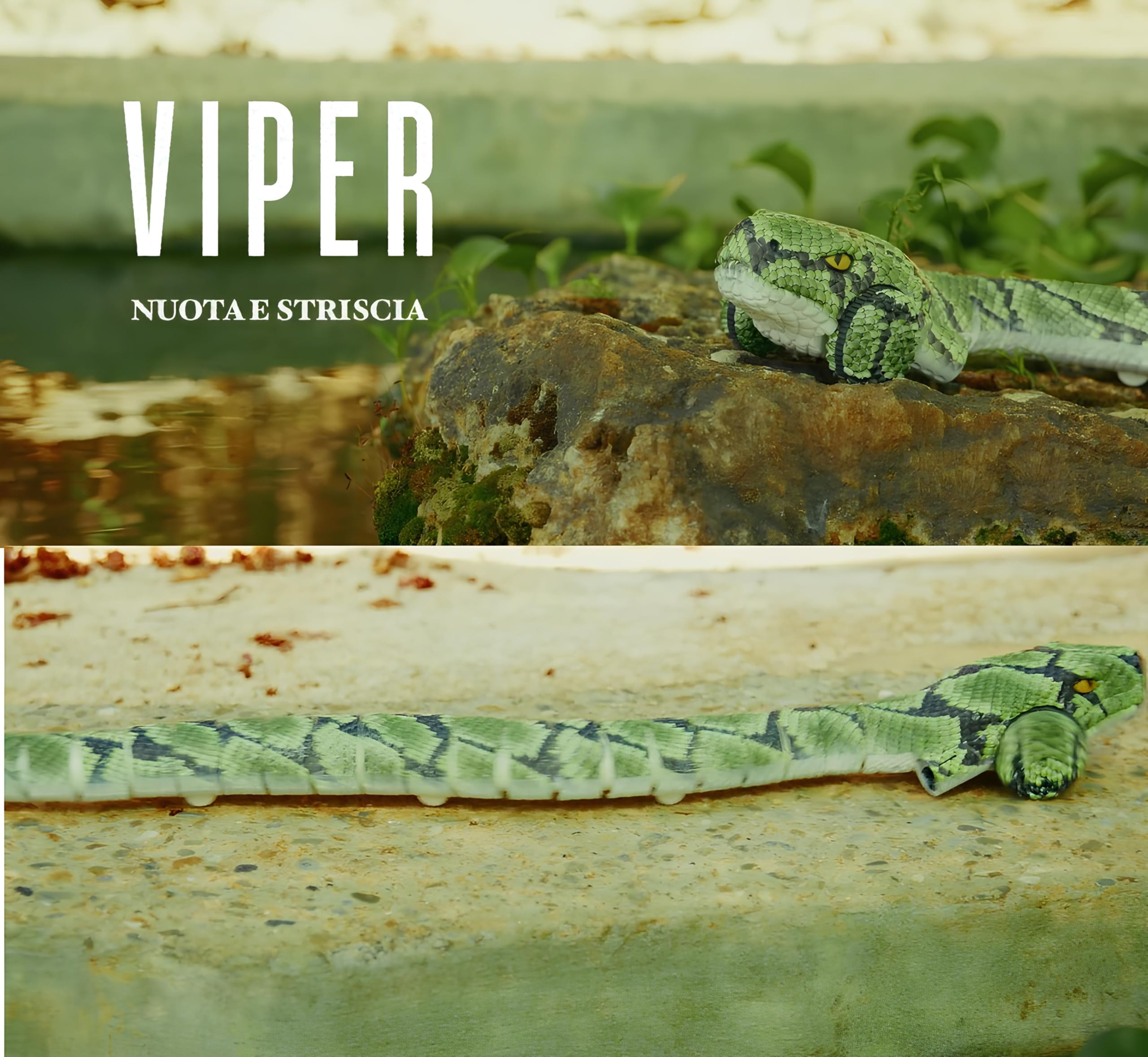Serpente Telecomadato Versione Gigante cm 77 Striscia e Nuota Davvero Movimenti Realistici Utilizzabile su Terra e in Acqua Pitone Boa Vipera Maxi Giocattolo Multifunzione Spettacolare Scatola Regalo