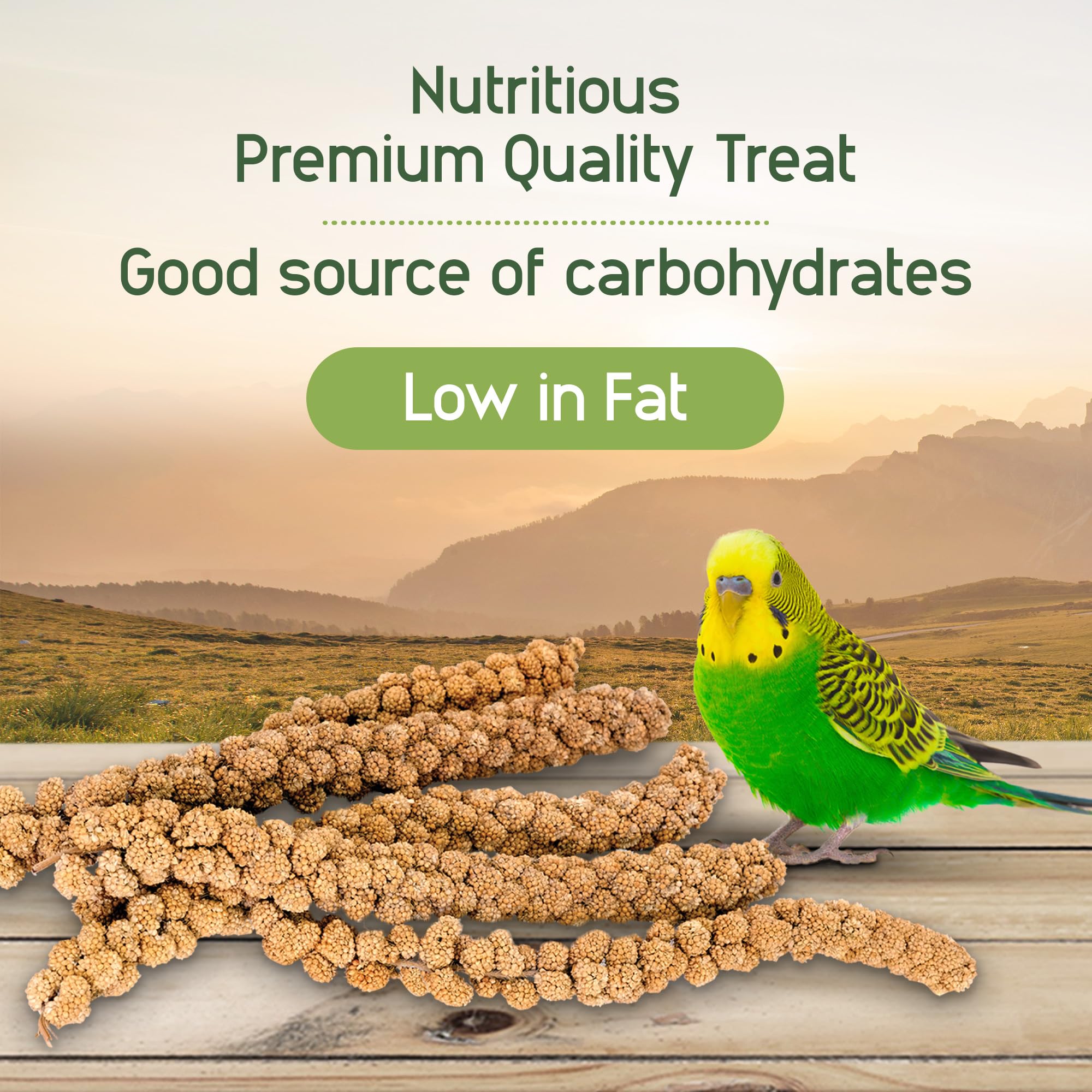 Hari Spray Millet - 500 g (17.6 oz) : Amazon.ca: Pet Supplies