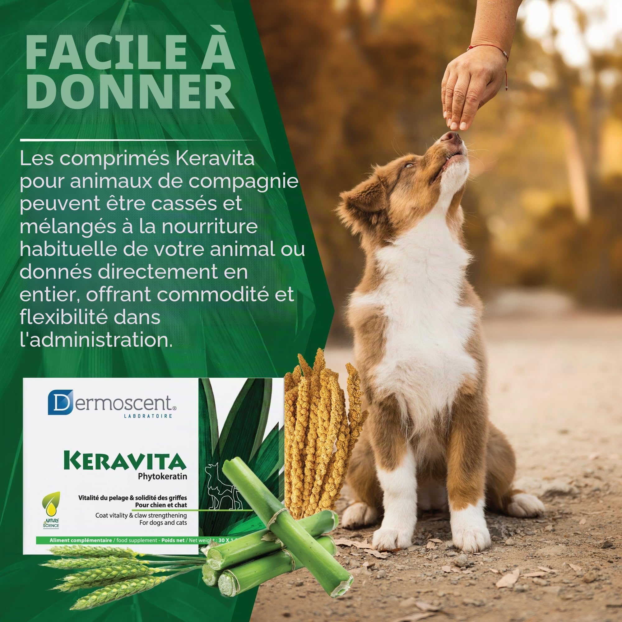 KERAVITA Phytokeratin pour Chiens & Chats | Vitalité du Pelage et Solidité des Griffes | 30 Sachets | Complément Alimentaire Naturel | Dermoscent