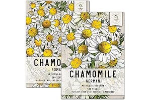 Seed Needs: Untreated Heiloom Chamomile Seeds for Planting