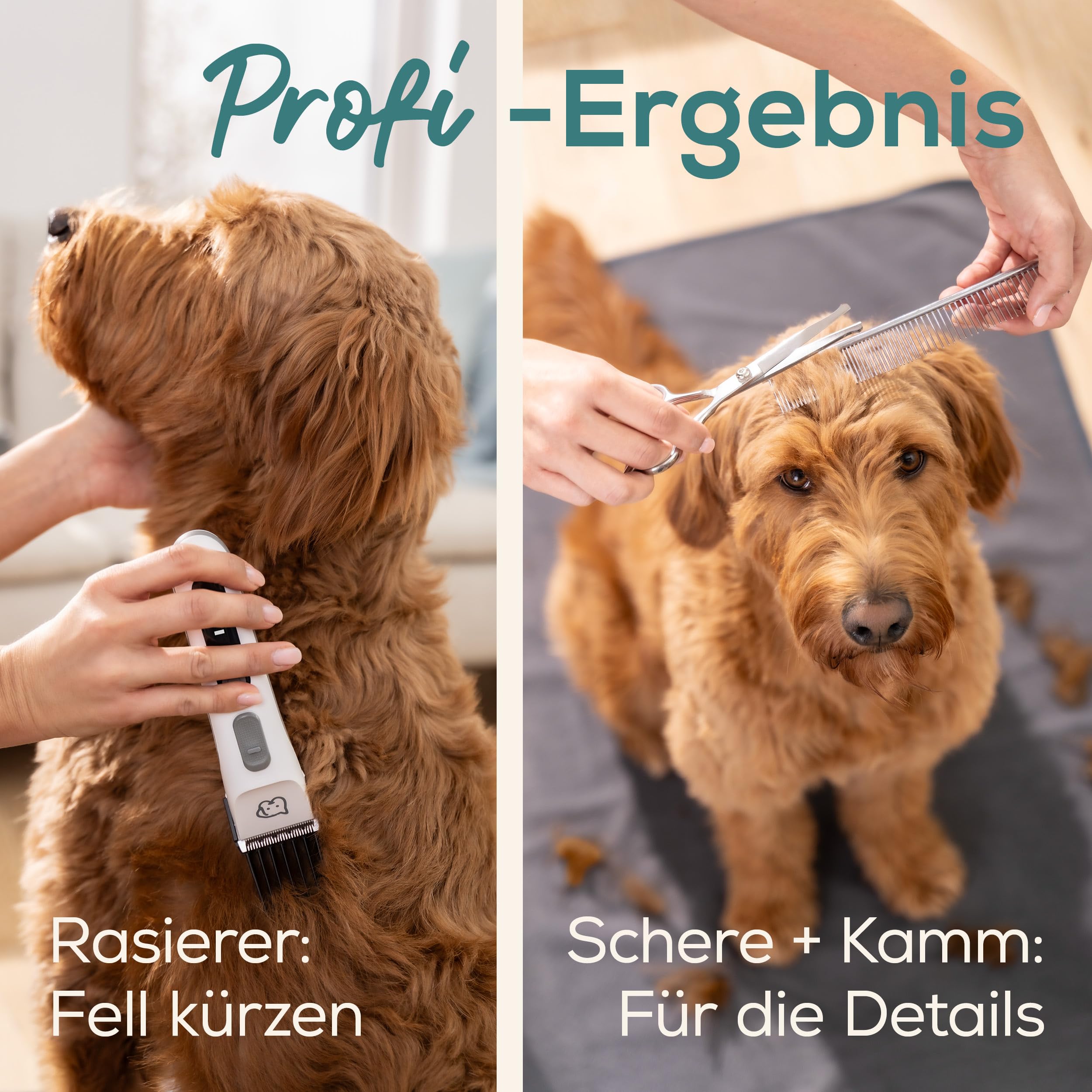 Beurer Love Your Pet Schermaschine "Fluffy" für Hunde und Katzen, leise