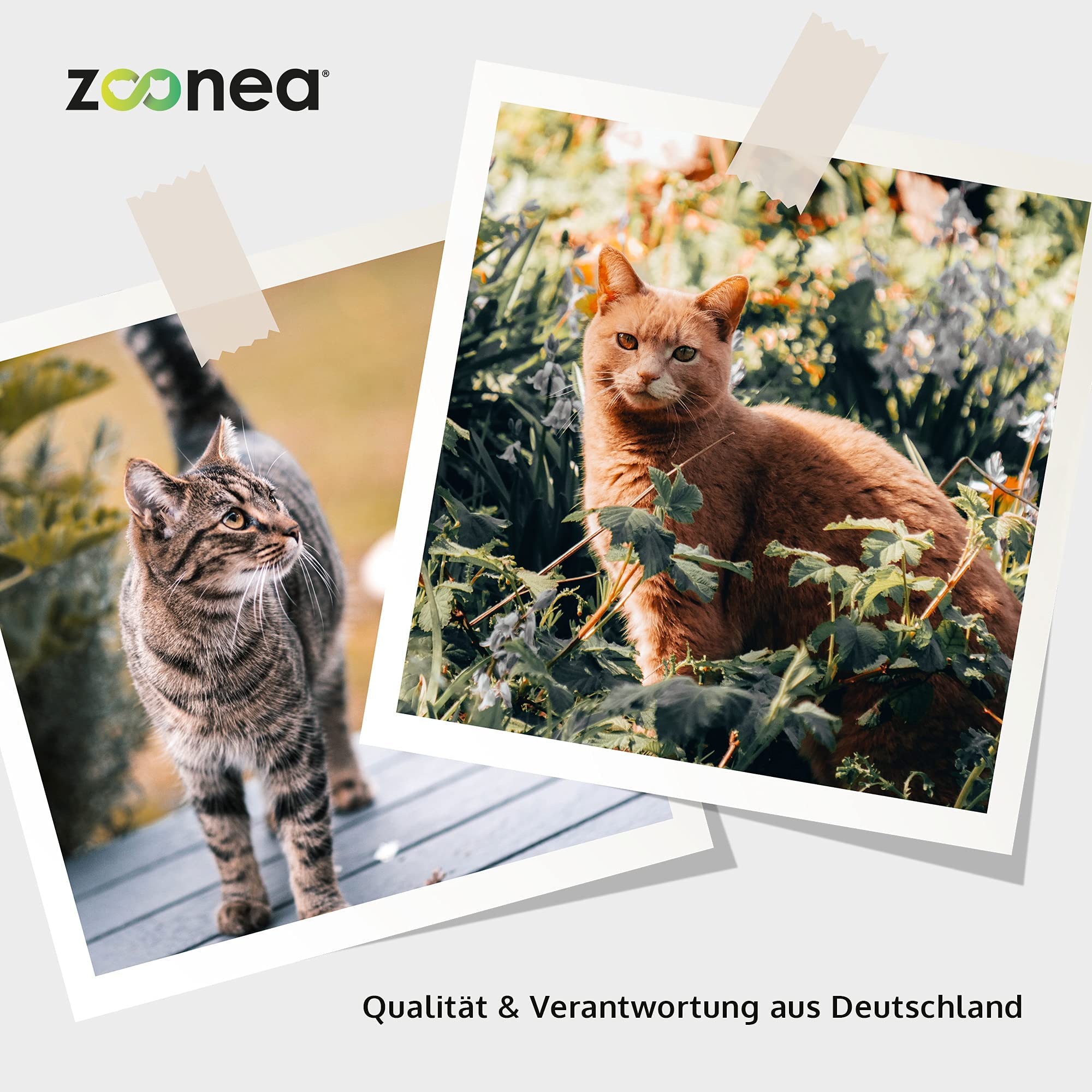 Mineral Mix Cats 250g - Mineralstoff & Vitaminversorgung für Katzen | Perfekt abgestimmte Vitamine & Mineralien für bis zu 250 Tage